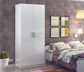 Шкаф 2-х дверный СБ-2226/1 Терра (Белый) в Асино - asino.katalogmebeli.com | фото