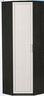 Шкаф для одежды угловой ДЛЯ ГОСТИНОЙ ШОУ-695 Венге/Дуб выбеленный в Асино - asino.katalogmebeli.com | фото