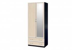 Шкаф для платья и белья 2-х дверный с профилем МДФ с 1 зеркалом Венге/Дуб выбеленный в Асино - asino.katalogmebeli.com | фото